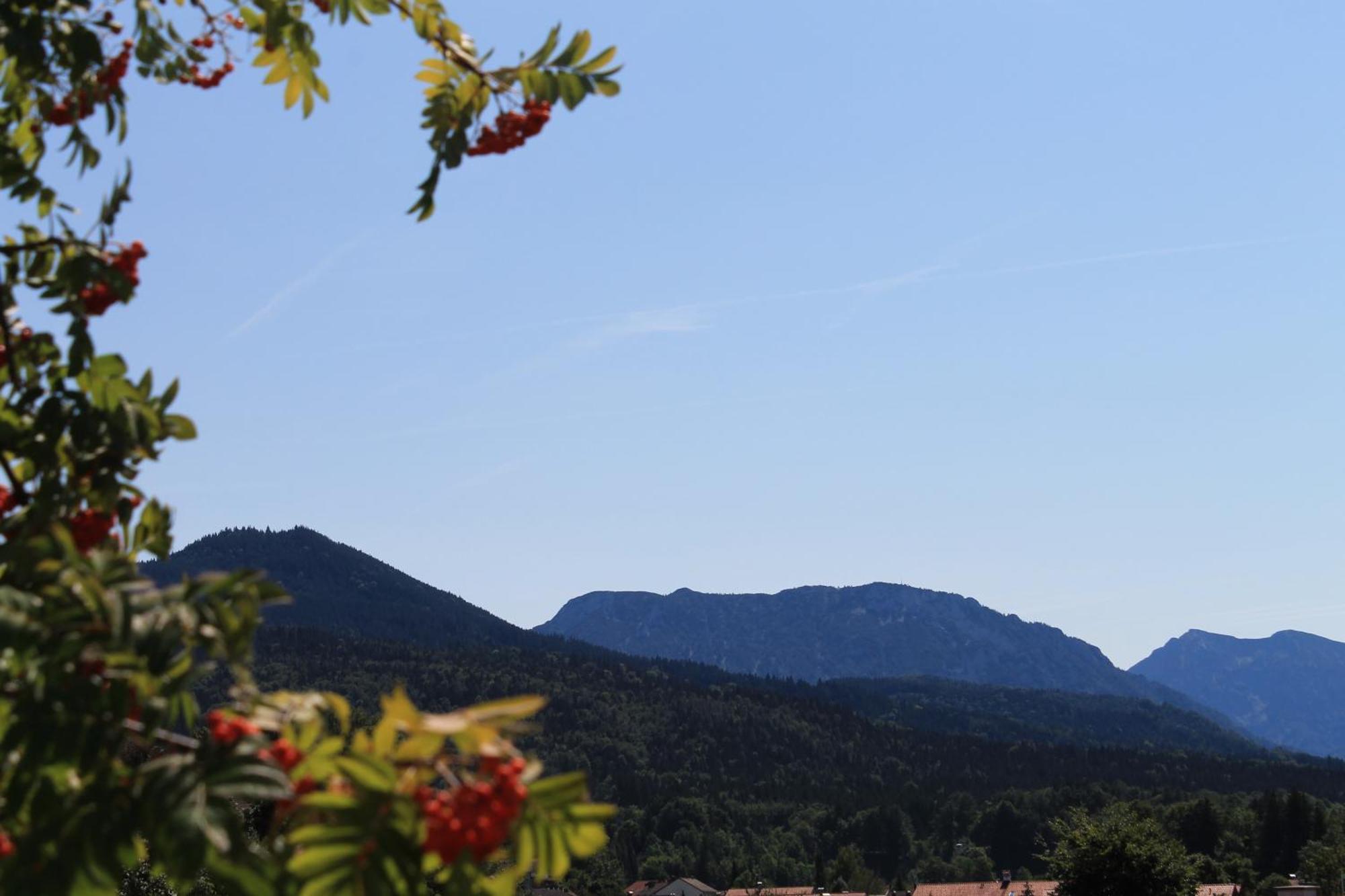 Hotel Garni Edelweiss ซีกส์ดอร์ฟ ภายนอก รูปภาพ
