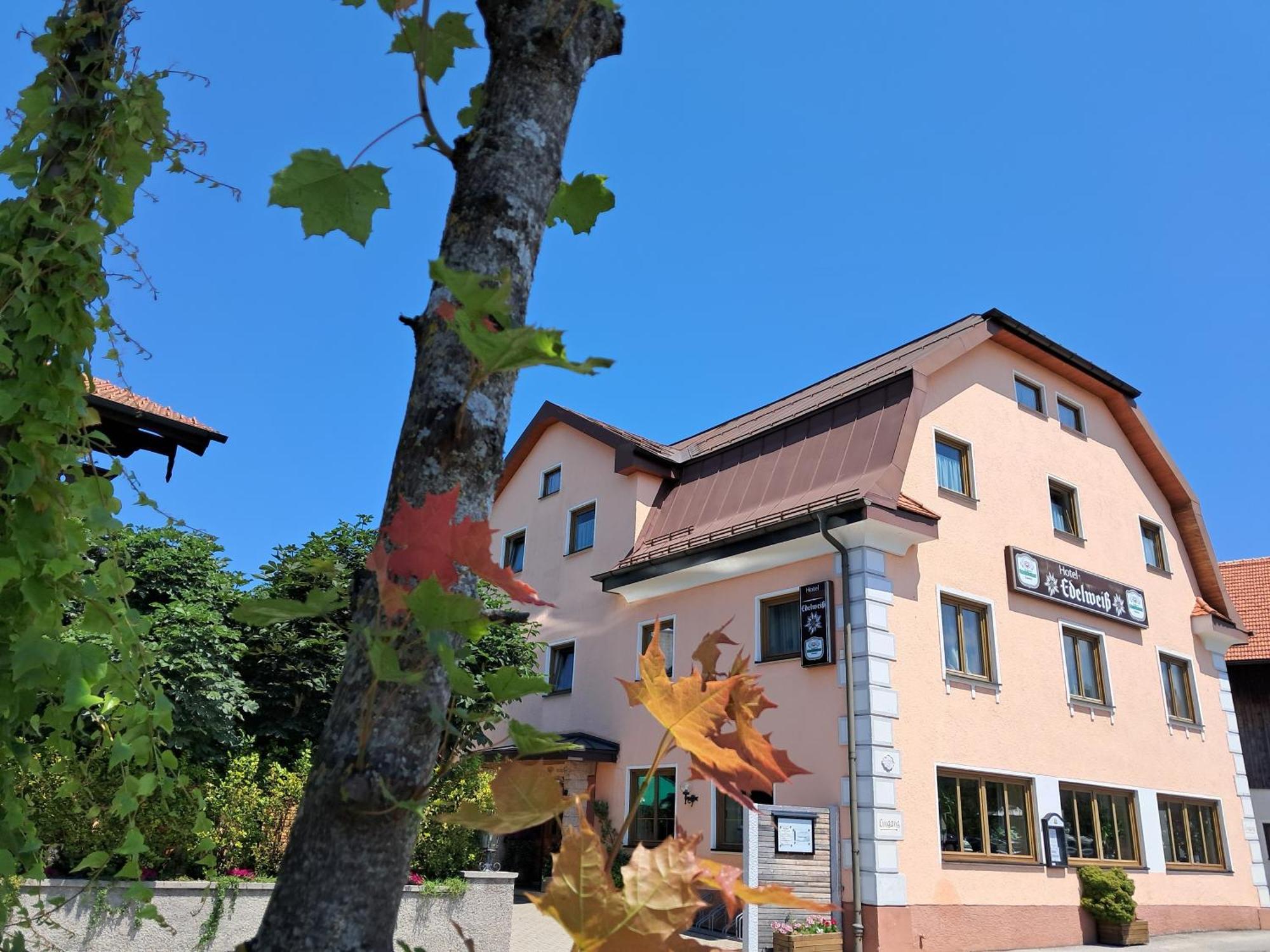 Hotel Garni Edelweiss ซีกส์ดอร์ฟ ภายนอก รูปภาพ