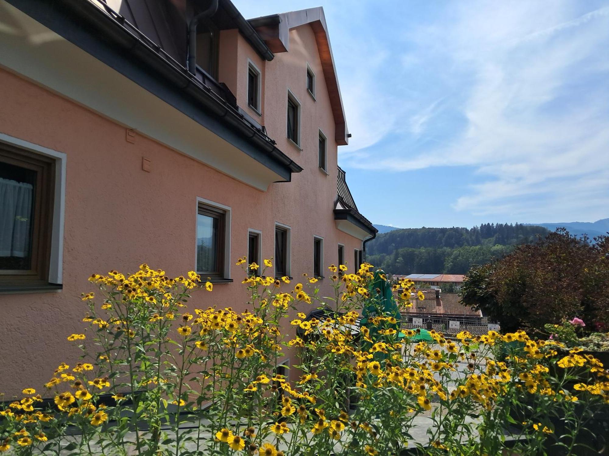 Hotel Garni Edelweiss ซีกส์ดอร์ฟ ภายนอก รูปภาพ